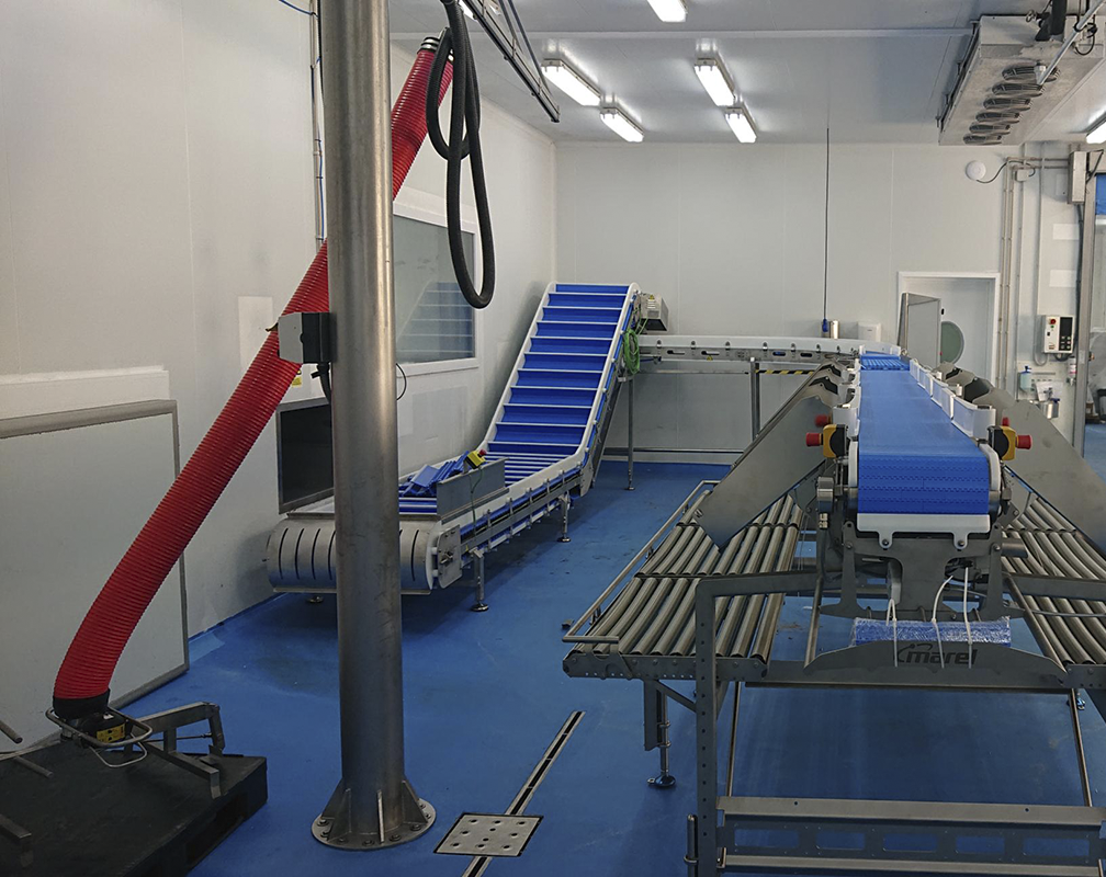 Cabecera 4 Illana procesado piszolla