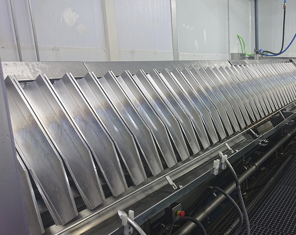 Carrusel 2 Alba Procesado Piszolla