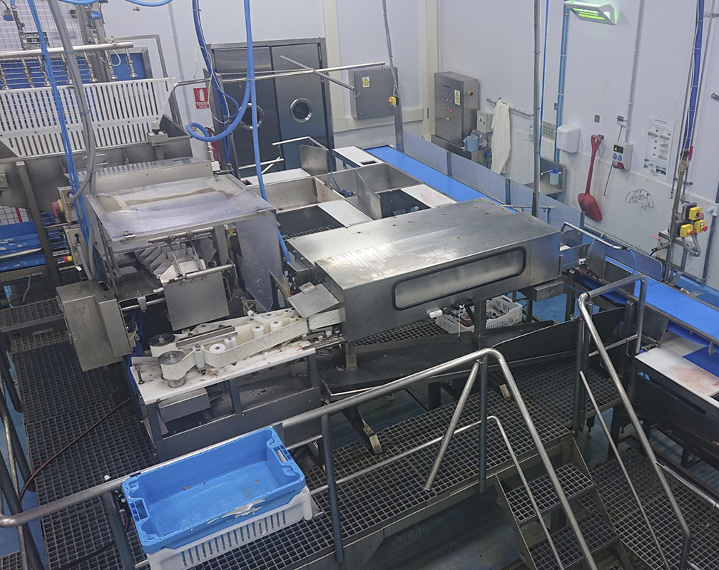 Carrusel 3 Alba Procesado Piszolla