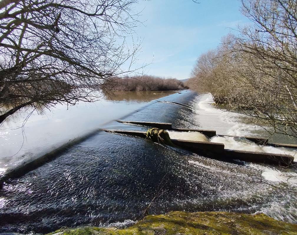 PSZ ALBA - carrusel 4