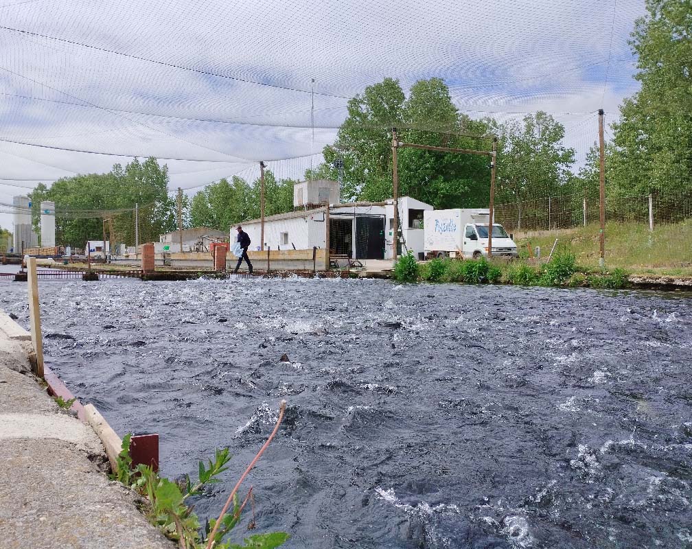 PSZ ENCINAS - carrusel 3