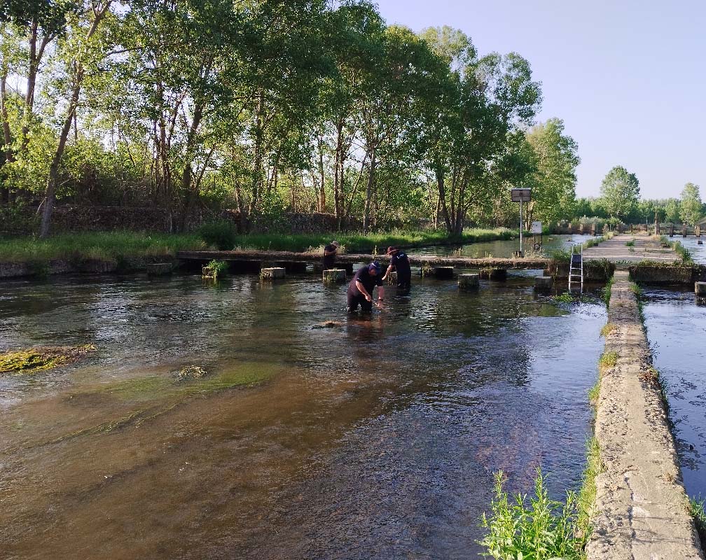 PSZ ENCINAS - carrusel 4