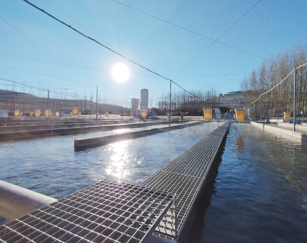 PSZ FUENTIDUEÑA - carrusel 2