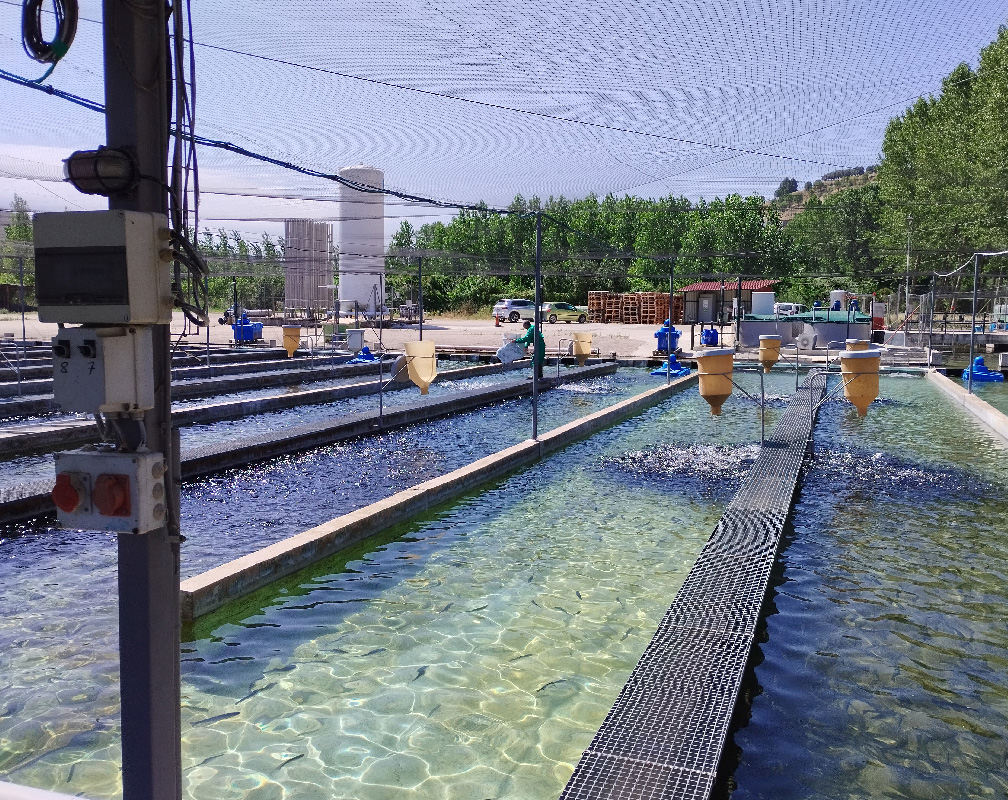 PSZ FUENTIDUEÑA - carrusel 3