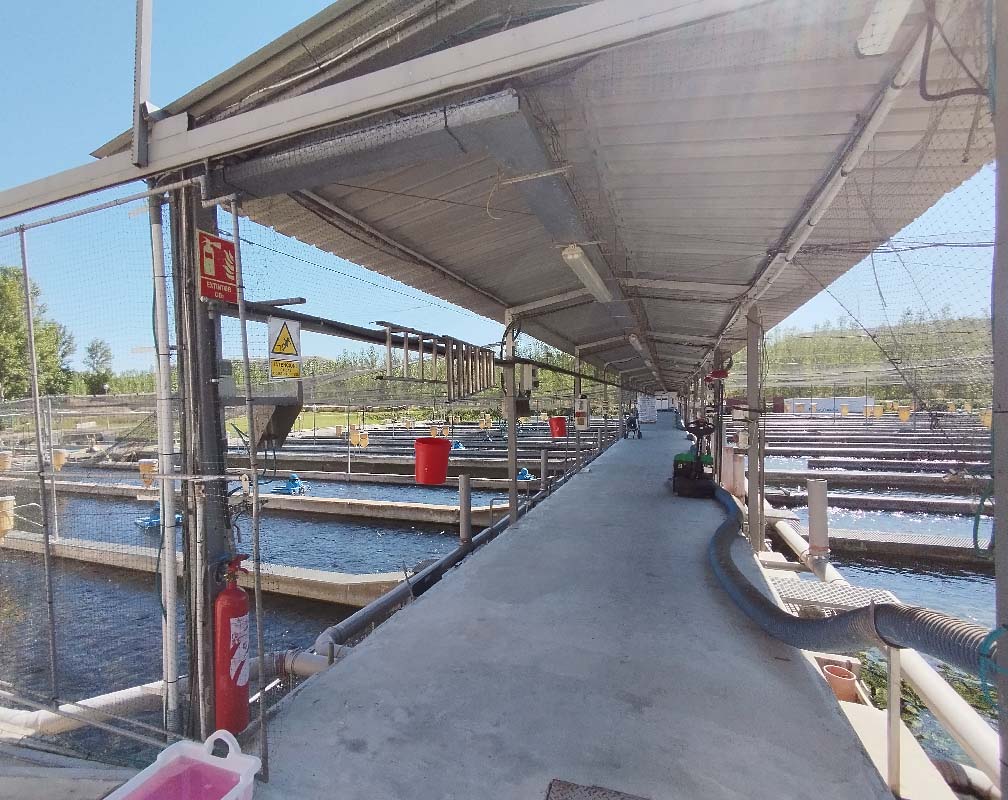 PSZ FUENTIDUEÑA - carrusel 4