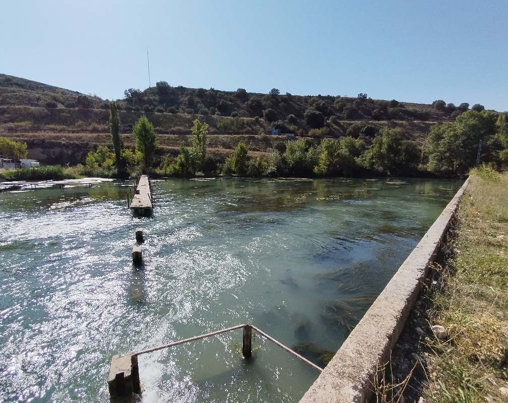 PSZ ILLANA - carrusel 2