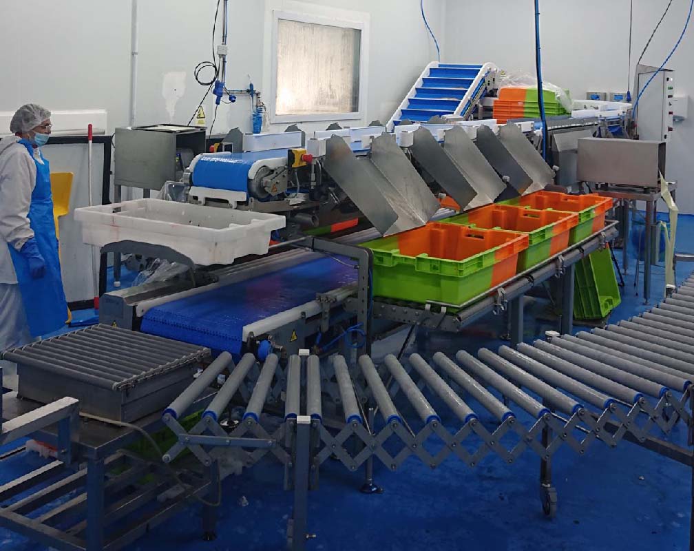 PSZ ILLANA - carrusel 4