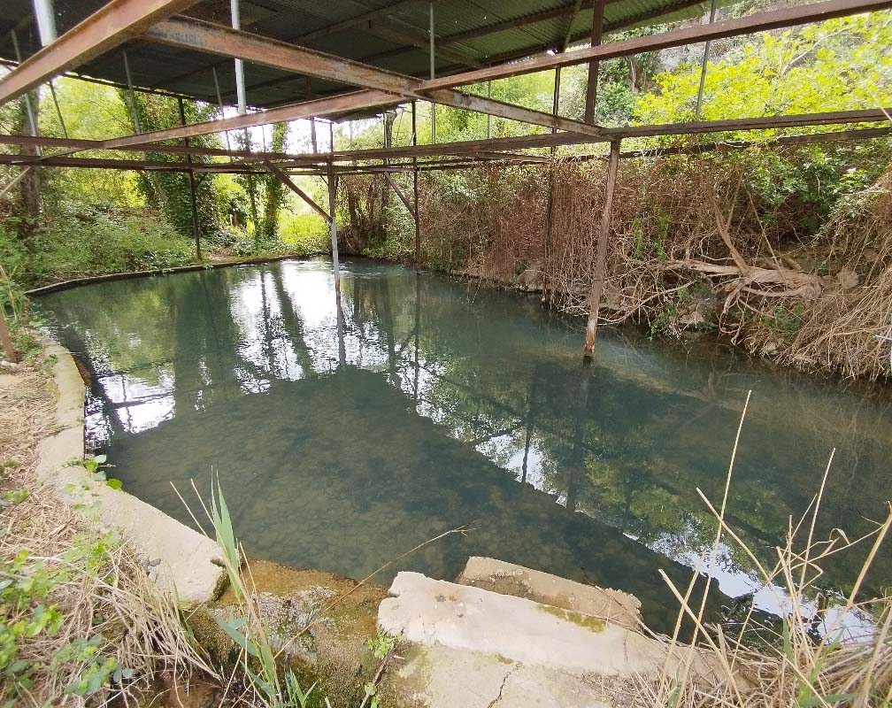 PSZ RIOPIEDRA - carrusel 4