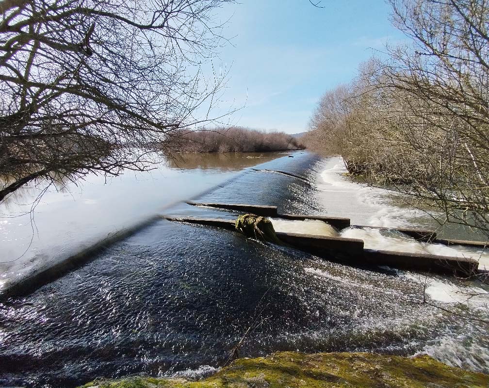 PSZ SIETEIGLESIAS - carrusel 4