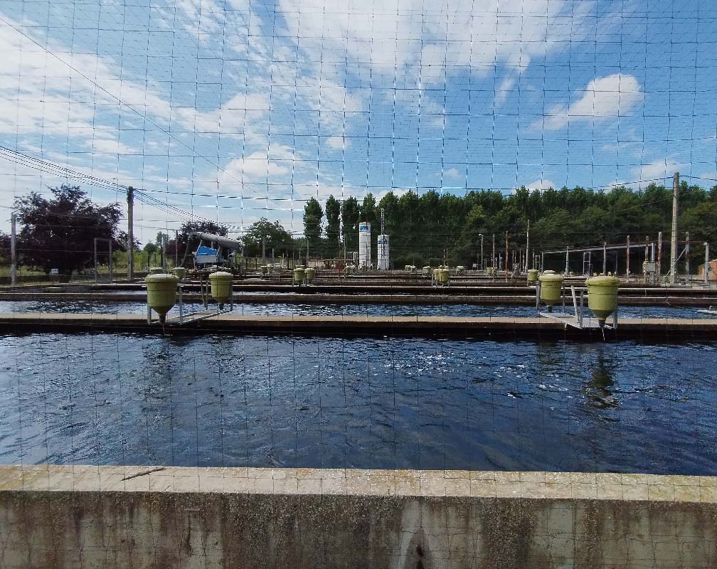 PSZ TRUCHA REAL - carrusel 2