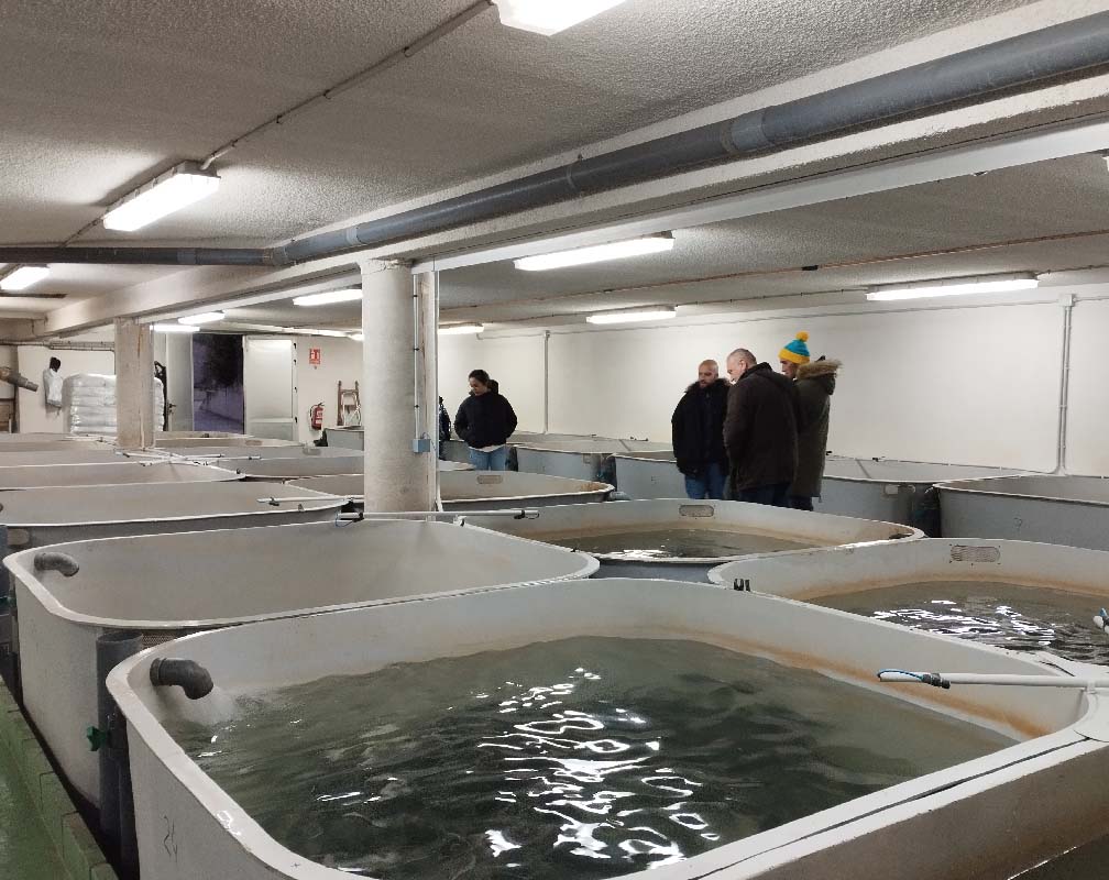 PSZ VOZMEDIANO - carrusel 2