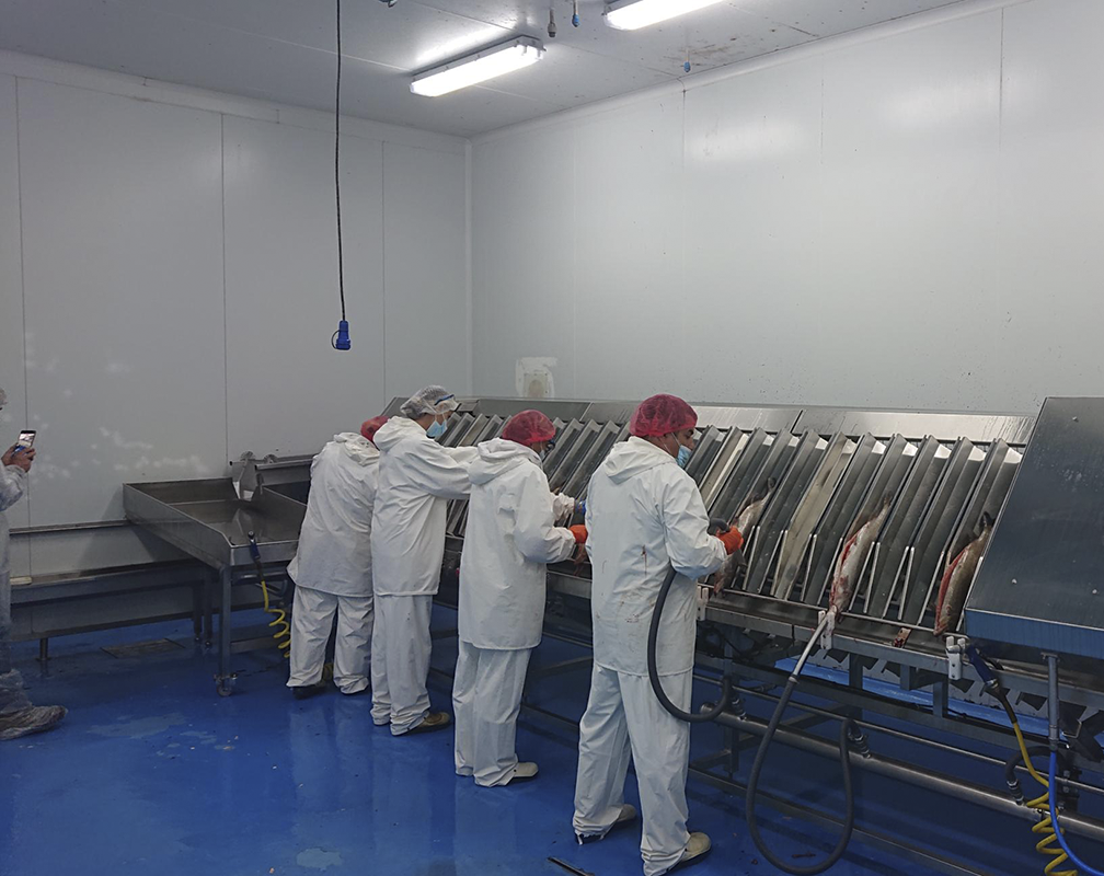 Cabecera 2 Illana procesado piszolla